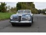 1946 Lancia Aprilia for sale 101438729