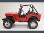 Thumbnail Photo 1 for 1947 Willys CJ-2A