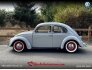 1950 Volkswagen Beetle for sale 101830115