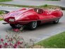 1952 Alfa Romeo 1900 for sale 101774621