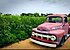 1952 Ford F1 for sale 101229516