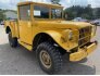1953 Dodge Power Wagon for sale 101712588