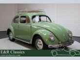 1953 Volkswagen Beetle Coupe