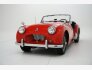 1954 Triumph TR2 for sale 101837544