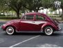 1954 Volkswagen Beetle for sale 101706804