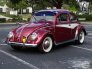 1954 Volkswagen Beetle for sale 101706804