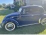 1954 Volkswagen Beetle for sale 101761867