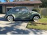 1954 Volkswagen Beetle Convertible for sale 101774453