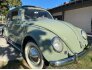 1954 Volkswagen Beetle Convertible for sale 101774453