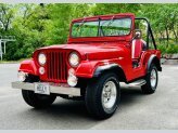 1954 Willys M-38