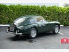Thumbnail Photo 4 for 1955 Aston Martin DB2-4