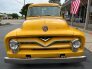 1955 Ford F100 for sale 101747815