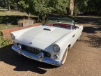 Thumbnail Photo 3 for 1955 Ford Thunderbird for Sale by Owner