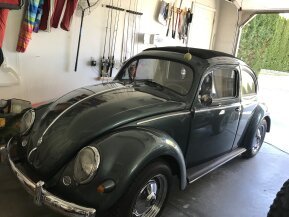 1956 Volkswagen Beetle for sale 101749873