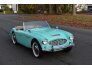 1958 Austin-Healey 100-6 for sale 101650210