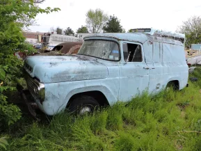 1959 Ford F100 for sale 102026379