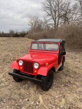 1959 Willys Other Willys Models for sale 102005917