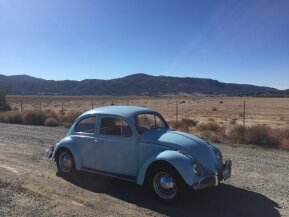 1960 Volkswagen Beetle Coupe for sale 101792186