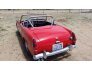 1961 Austin-Healey Sprite for sale 101583979