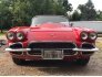 1961 Chevrolet Corvette Convertible for sale 101583905