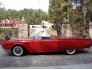 1961 Ford Thunderbird for sale 101689876