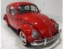 1961 Volkswagen Beetle for sale 101660762