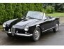 1962 Alfa Romeo Giulietta for sale 101331233