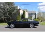 1962 Aston Martin DB4 for sale 101731620