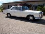 1962 Mercedes-Benz 220SEB for sale 101711924