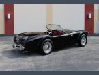 Thumbnail Photo 4 for New 1962 Shelby Cobra