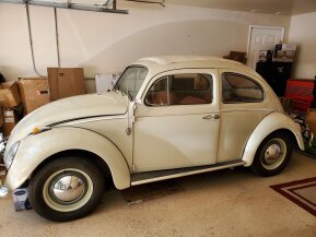 1962 Volkswagen Beetle for sale 101727771
