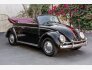 1962 Volkswagen Beetle for sale 101822332