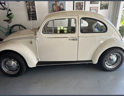 Photo 1 for 1963 Volkswagen Beetle for Sale by Owner