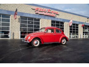 1963 Volkswagen Beetle for sale 101698495