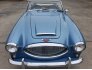 1964 Austin-Healey 3000MKIII for sale 101476592