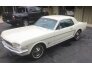1964 Ford Mustang LX V8 Coupe for sale 100778050