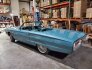 1964 Ford Thunderbird for sale 101590069