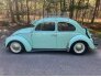 1964 Volkswagen Beetle for sale 101626591