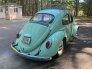 1964 Volkswagen Beetle for sale 101626591