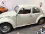 1964 Volkswagen Beetle for sale 101634370