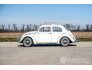 1964 Volkswagen Beetle for sale 101681316
