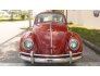 1964 Volkswagen Beetle for sale 101687829
