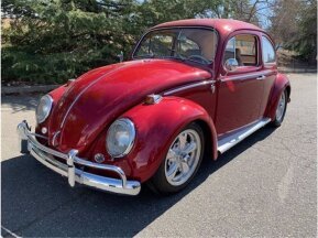 1964 Volkswagen Beetle for sale 101705764