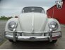 1964 Volkswagen Beetle for sale 101733791