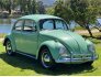 1964 Volkswagen Beetle for sale 101741158