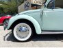 1964 Volkswagen Beetle for sale 101769968