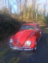 1964 Volkswagen Beetle Coupe for sale 102001204