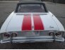 1965 Chevrolet Corvair for sale 101817228