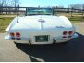 1965 Chevrolet Corvette for sale 101683509