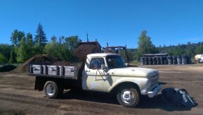 1965 Ford F350 2WD Crew Cab for sale 102026093